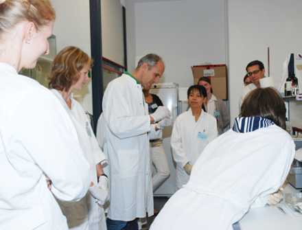 Kachel Workshops.jpg